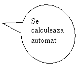 Oval Callout: Se calculeaza automat