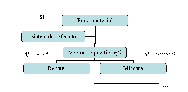 Organization Chart