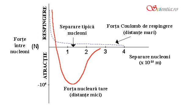 Numarul de nucleoni si stabilitatea nucleului