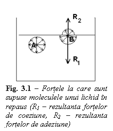 Text Box:  
Fig. 3.1 - Fortele la care sunt supuse moleculele unui lichid in repaus (R1 - rezultanta fortelor de coeziune, R2 - rezultanta fortelor de adeziune)

