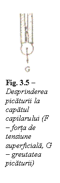 Text Box:  
Fig. 3.5 - Desprinderea picaturii la capatul capilarului (F - forta de tensiune superficiala, G - greutatea picaturii)

