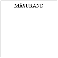 Text Box: MASURAND