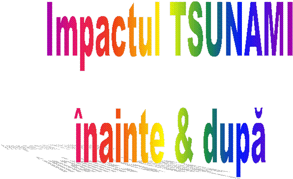 Impactul TSUNAMI
inainte & dupa