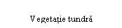 Text Box: Vegetatie tundra
