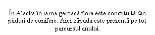 Text Box: In Alaska in iarna geroasa flora este constituita din paduri de conifere. Aici zapada este prezenta pe tot parcursul anului.
