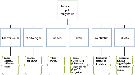 Organization Chart