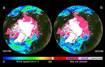Quikscat maps of the various ices in the Arctic cap.