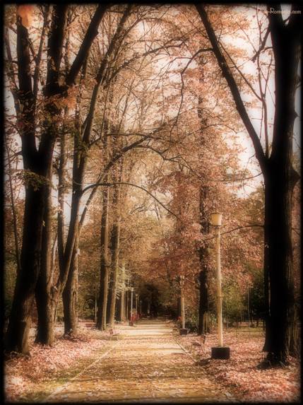 Parcul Zavoi - acolo unde s-a cantat pentru prima oara 