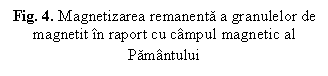 Text Box: Fig. 4. Magnetizarea remanenta a granulelor de magnetit in raport cu campul magnetic al Pamantului