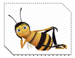 bee.jpg