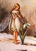 GCFF516-Snowdrop-Fairy.jpg