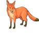 Clipart - Renard - Renards - Cliparts - Image