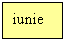 Text Box: iunie