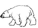 polar bear