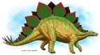 stegosaurus.jpg