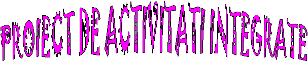 DE ACTIVITATI INTEGRATE