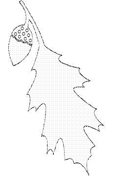 templates