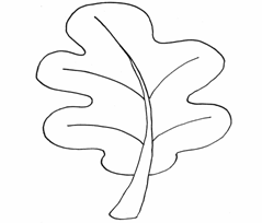 templates