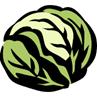 Filename: j0331270.wmfKeywords: cabbages, food, produce File Size: 30 KB