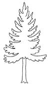 Clique ici pour imprimer le coloriage Arbres !