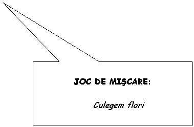 Rectangular Callout: JOC DE MISCARE:

Culegem flori
