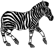 Clipart - Zebre - Zebres - Cliparts - Image