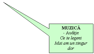 Rectangular Callout: MUZICA
- Auditie
Ce te legeni
Mai am un singur dor
