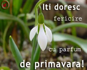 Iti doresc fericire cu parfum de primavara!