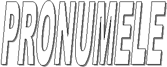 PRONUMELE
