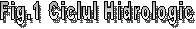 Fig.1 Ciclul Hidrologic