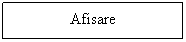 Text Box: Afisare