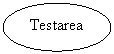 Oval: Testarea