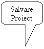 Rounded Rectangular Callout: Salvare Proiect