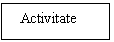 Text Box:   Activitate