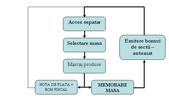 Organization Chart