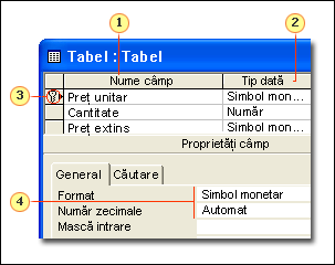 Aveti posibilitatea de a modifica tipul si proprietatile datelor in modul proiectare