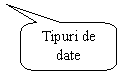 Rounded Rectangular Callout: Tipuri de date  