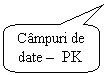 Rounded Rectangular Callout: Campuri de date -  PK 