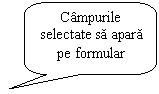 Rounded Rectangular Callout: Campurile selectate sa apara pe formular