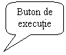 Rounded Rectangular Callout: Buton de executie