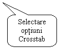 Rounded Rectangular Callout: Selectare optiuni Crosstab 