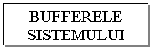 Text Box: BUFFERELE SISTEMULUI