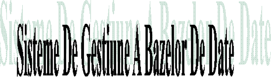 Sisteme De Gestiune A Bazelor De Date