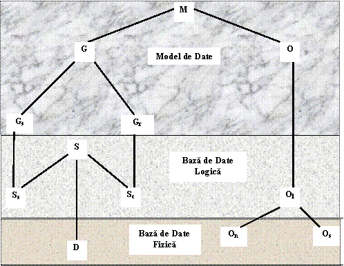 Modele de Date - Tipuri de Modele de Date