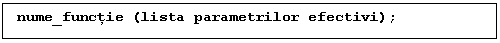 Text Box: nume_functie (lista parametrilor efectivi);