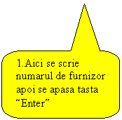 Rounded Rectangular Callout: 1.Aici se scrie numarul de furnizor apoi se apasa tasta 