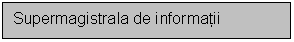 Text Box: Supermagistrala de informatii