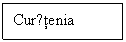 Text Box: Curǎtenia