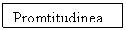 Text Box: Promtitudinea