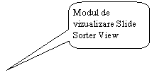 Rounded Rectangular Callout: Modul de vizualizare Slide Sorter View